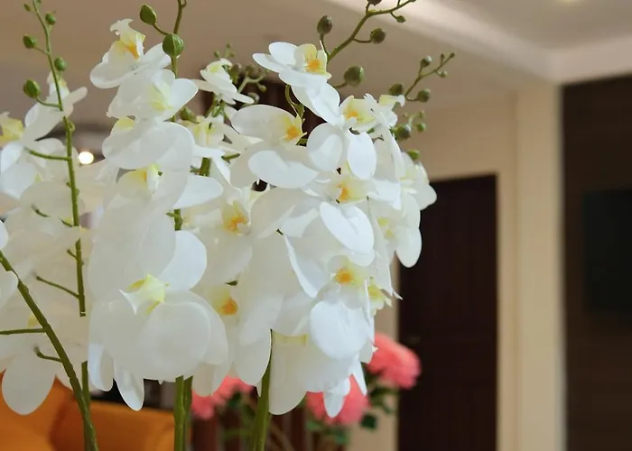 Aparthotel Maria Heights *